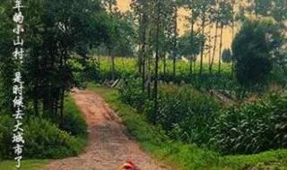 我生在一个小山村