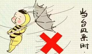 台风黄色预警停课吗